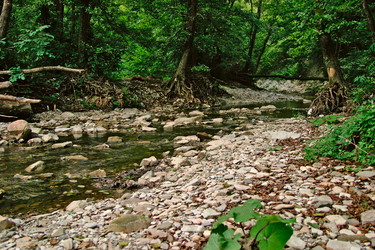 Similar image 193184