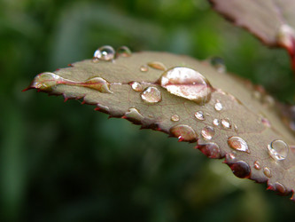 Similar image 193187