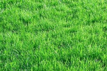 Similar image 193206