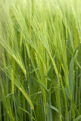 Similar image 193207