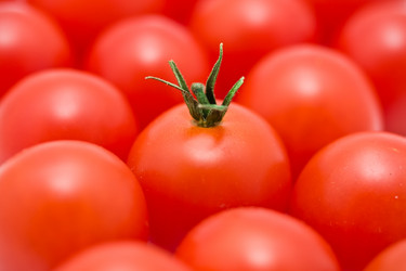 Similar image 193222