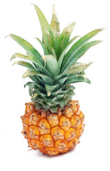 Similar image 193226