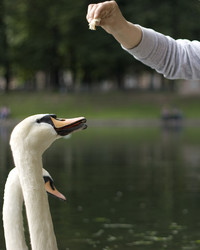 Similar image 193269