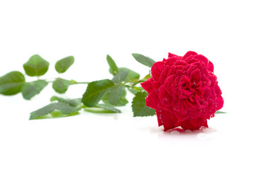 Similar image 193293