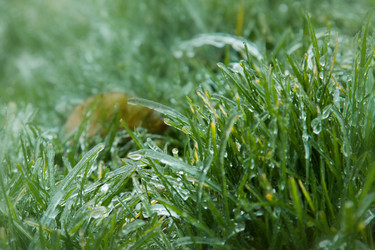 Similar image 193310