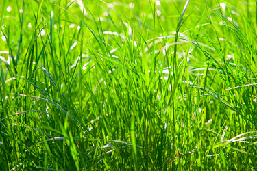 Similar image 193321