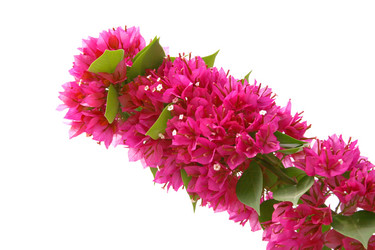 Similar image 193327