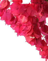 Similar image 193328