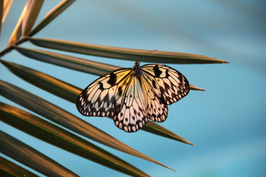 Similar image 193365