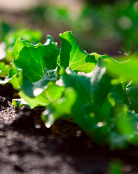 Similar image 193368