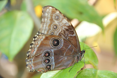 Similar image 193372