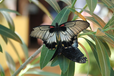 Similar image 193376