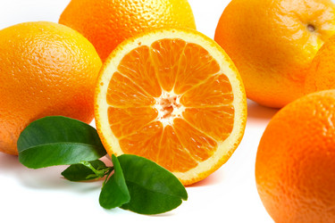 Similar image 193377