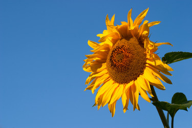 Similar image 193382