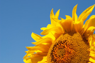 Similar image 193384