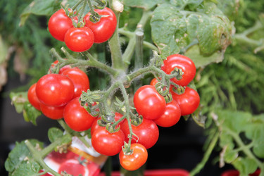 Similar image 193390