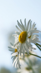 Similar image 193392