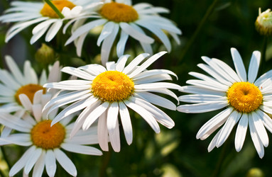 Similar image 193394