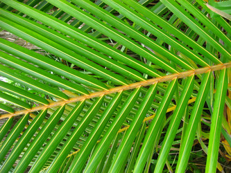 Similar image 193424