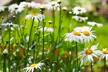 Similar image 193432