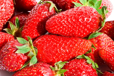 Similar image 193485