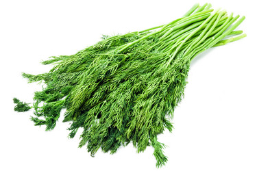 Similar image 193490