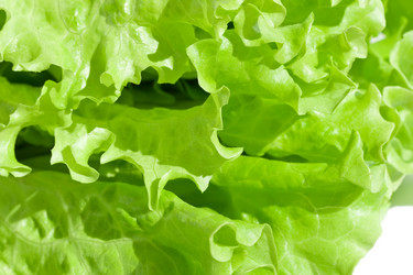 Similar image 193493