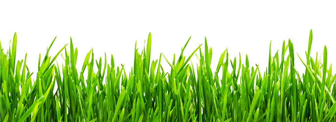 Similar image 193499