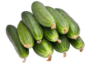 Similar image 193505