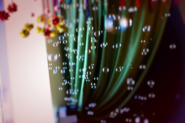 Similar image 193529