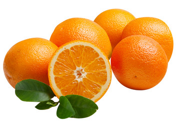 Similar image 193535