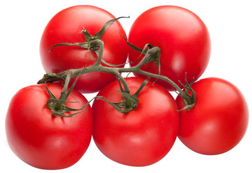 Similar image 193542