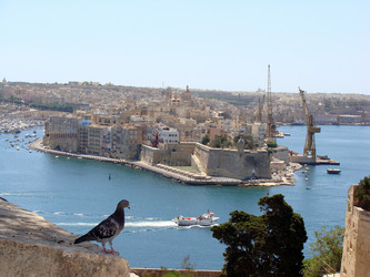 Similar image 193550