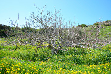 Similar image 193625