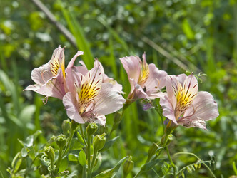 Similar image 193638