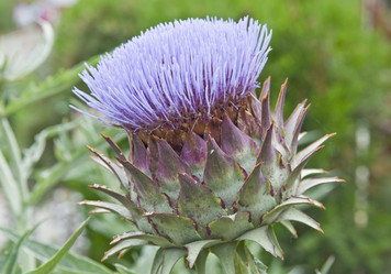 Similar image 193639