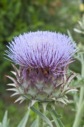 Similar image 193642