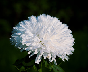 Similar image 193658