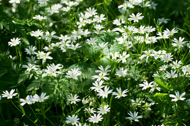 Similar image 193666