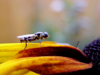 Similar image 193686