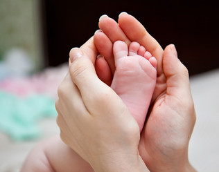 Similar image 193689