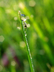 Similar image 193690