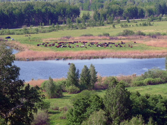 Similar image 193702