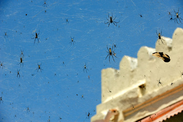 Similar image 193718