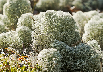 Similar image 193744