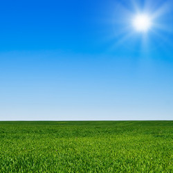 Similar image 193751