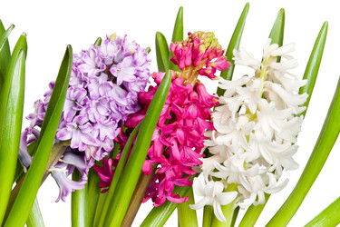 Similar image 193758