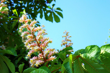 Similar image 193800