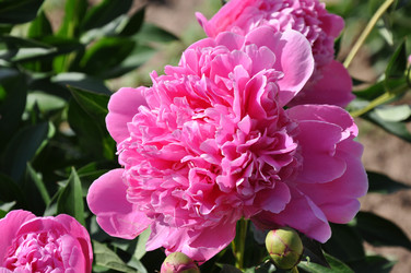 Similar image 193830