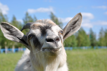 Similar image 193834